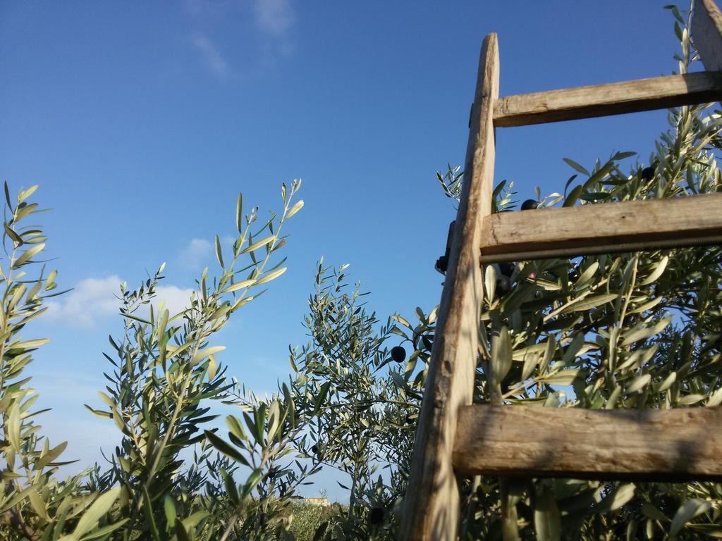 Cambiocavallo Resort Modica Exteriör bild